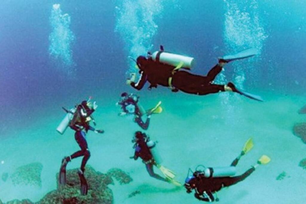 Апартаменты Caribe Brasileiro A 2 Passos Da Areia Арраял-ду-Кабу Экстерьер фото
